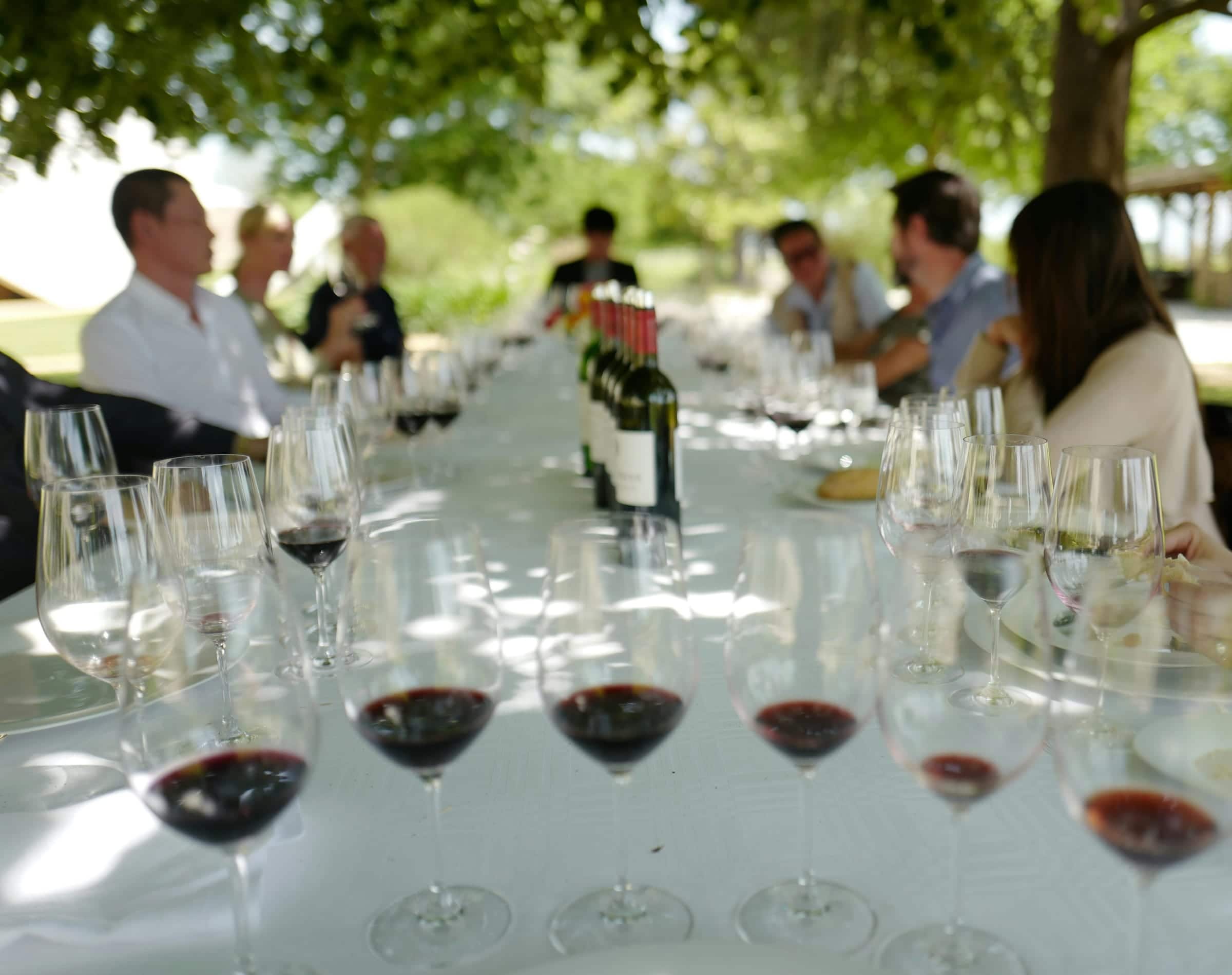 Aprendices de inglés vitivinícola en viñedos de Mendoza con copa de vino y materiales de estudio enológico